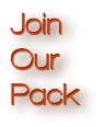 join our pack
