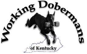 Working Dobermans of KY Logo